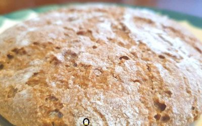 How to make Whole Wheat Sourdough Bread for Baby