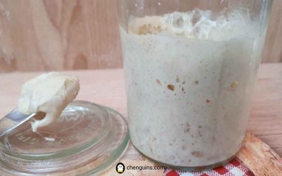 How to feed Sourdough Starter with another type of flour (Part II)