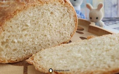 How to make Baby Coconut Bread (Sourdough Recipe)